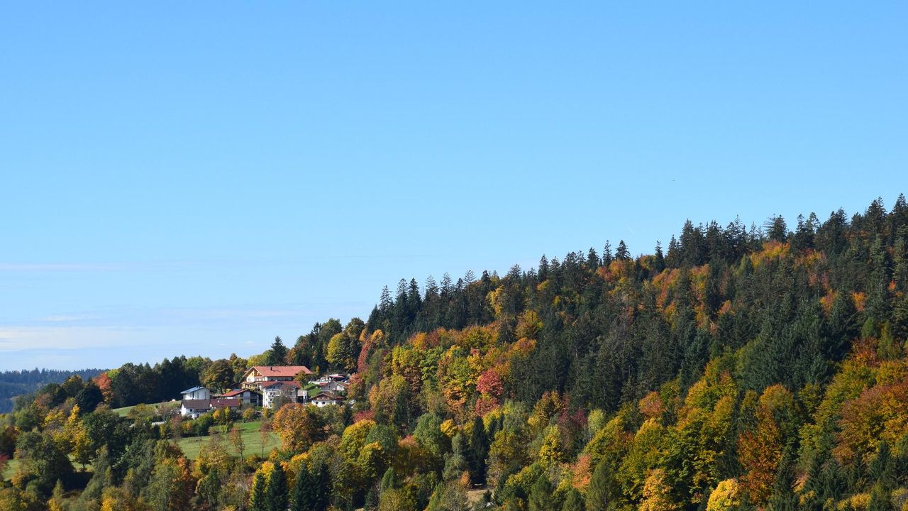 Ausblick Ausblick